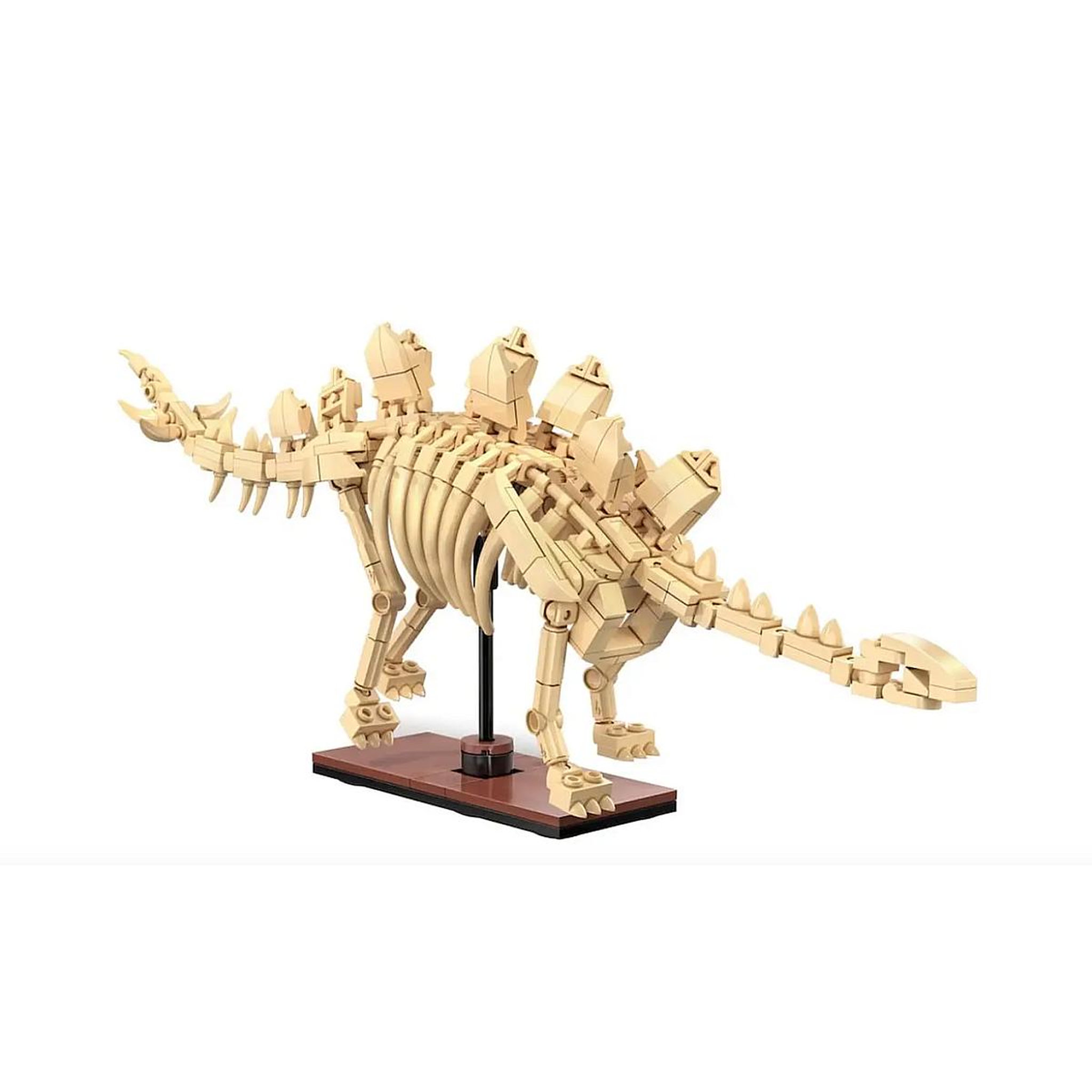 Jamara - CREATIVE - squelette de stegosaurus