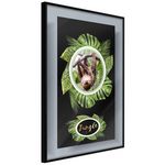 Paris Prix Affiche Murale Encadrée  Greetings from the Jungle. Coloris disponibles : Jaune, Noir