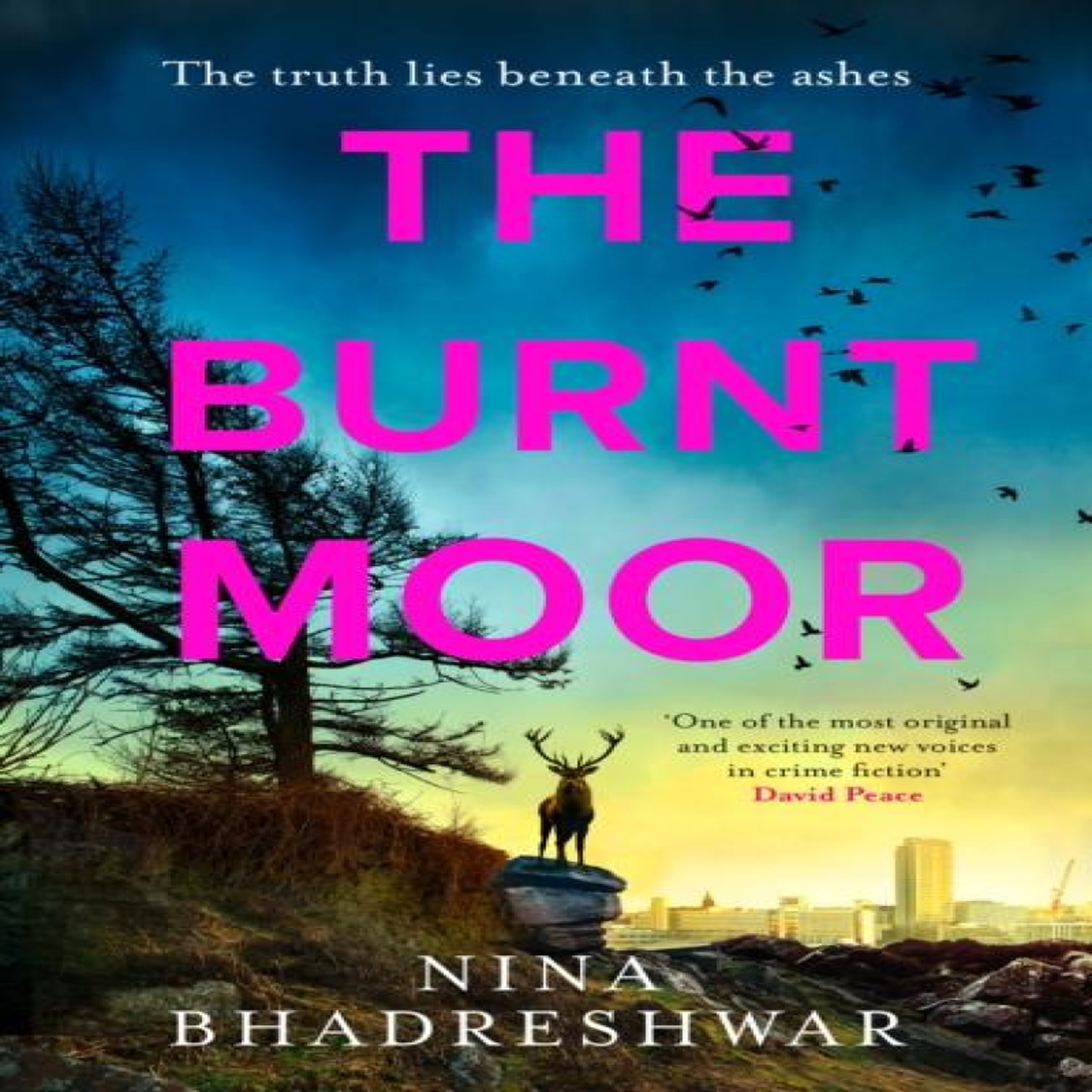 LIVRES BURNT MOOR_DIANA WALKER2 HB