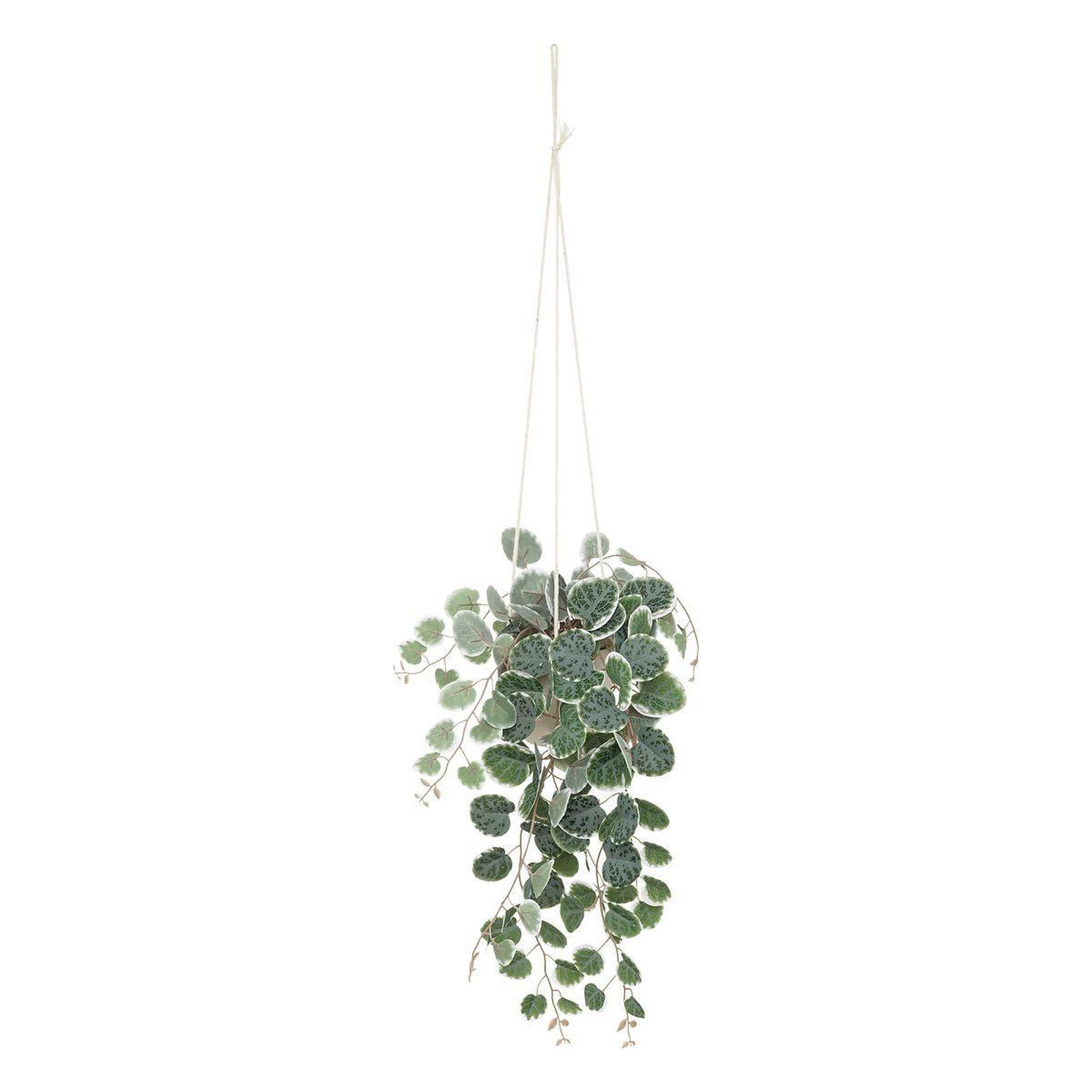 ATMOSPHERA Plante suspendue en pot  lour  80cm blanc & vert