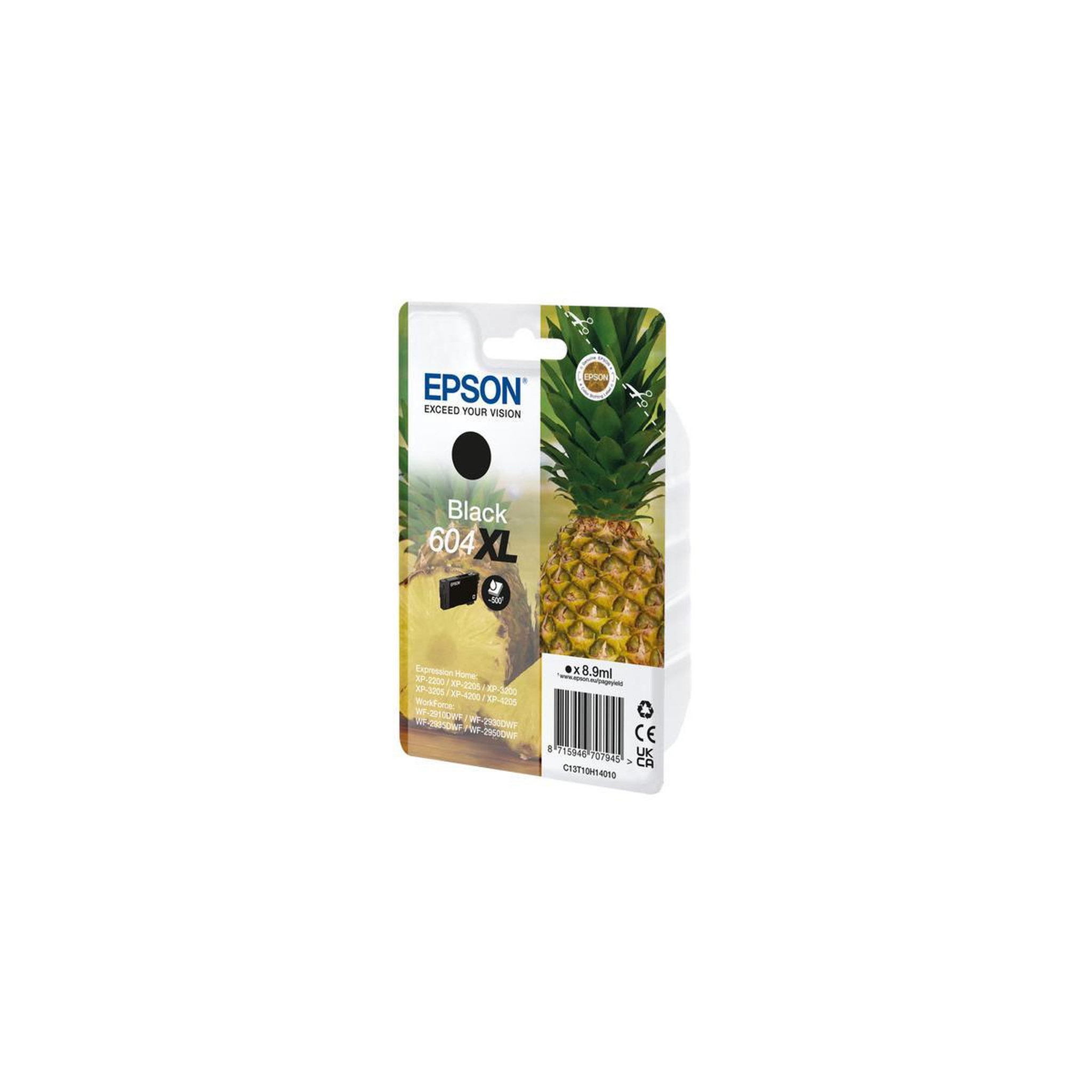 Voir la diapositive 3 : Epson Consommable EPSON C13T10H14010