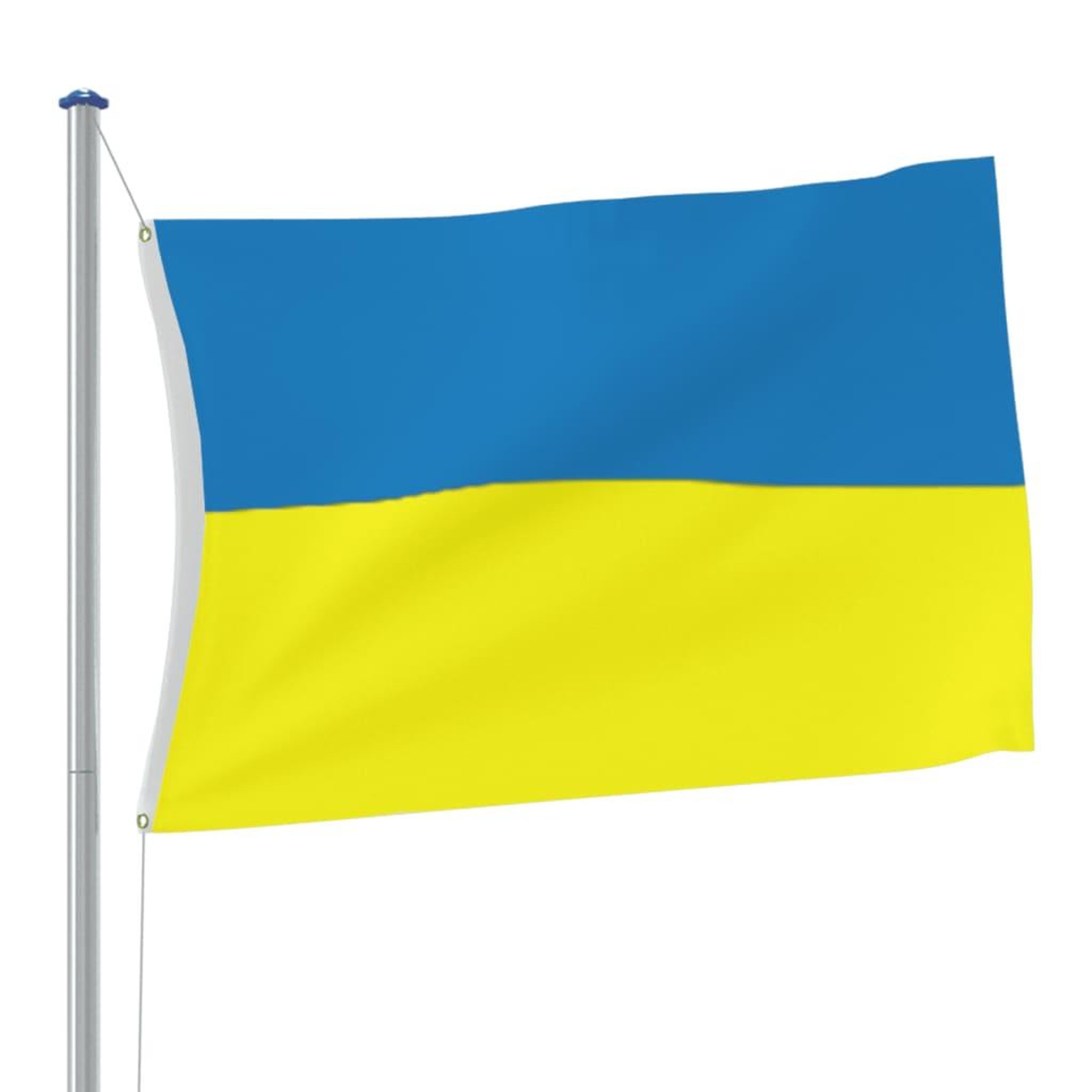 Voir la diapositive 3 : VIDAXL Drapeau de l'Ukraine avec œillets en laiton 90x150 cm