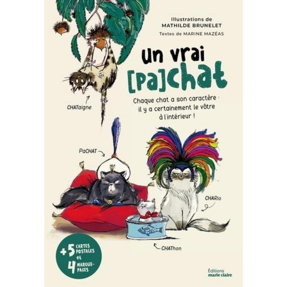 UN VRAI (PA)CHAT. CHAQUE CHAT A SON CARACTERE : IL Y A CERTAINEMENT LE VOTRE A L'INTERIEUR !, Mazéas Marine
