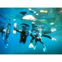 Voir la diapositive 4 : Smartbox 6h d'aventure sous-marine : baptême de plongée et randonnée palmée autonome à Fréjus - Coffret Cadeau Sport & Aventure