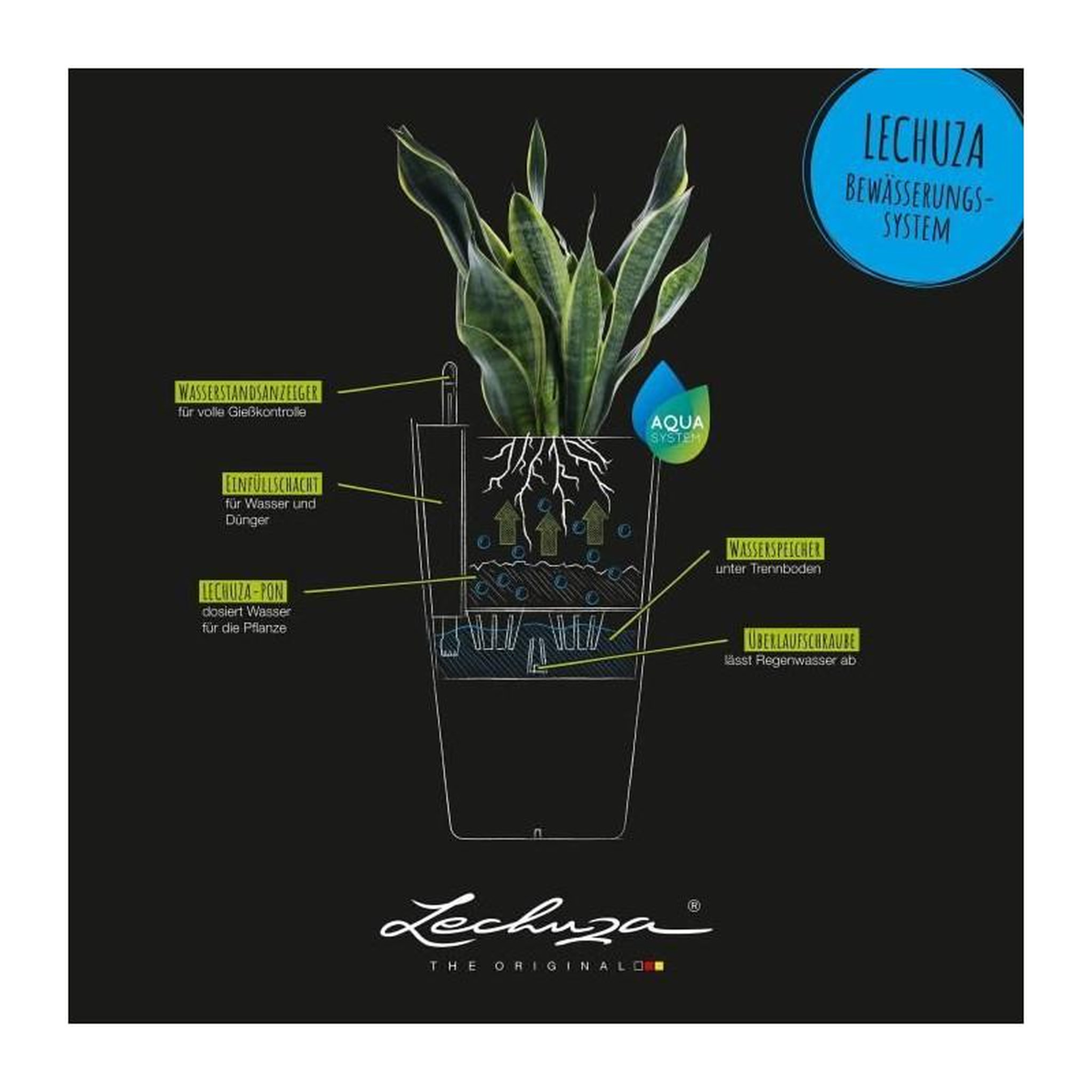 Voir la diapositive 4 : LECHUZA Cubico Color 40 - kit complet, muscade 8 L 75 cm