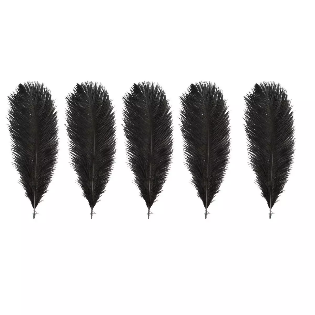 Artemio 5 plumes d'autruche noires