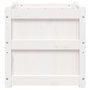 Voir la diapositive 5 : VIDAXL Jardiniere blanc 50x50x50 cm bois de pin massif