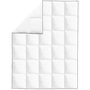 Voir la diapositive 2 : VIDAXL Couette en duvet d'hiver 140 x 200 cm