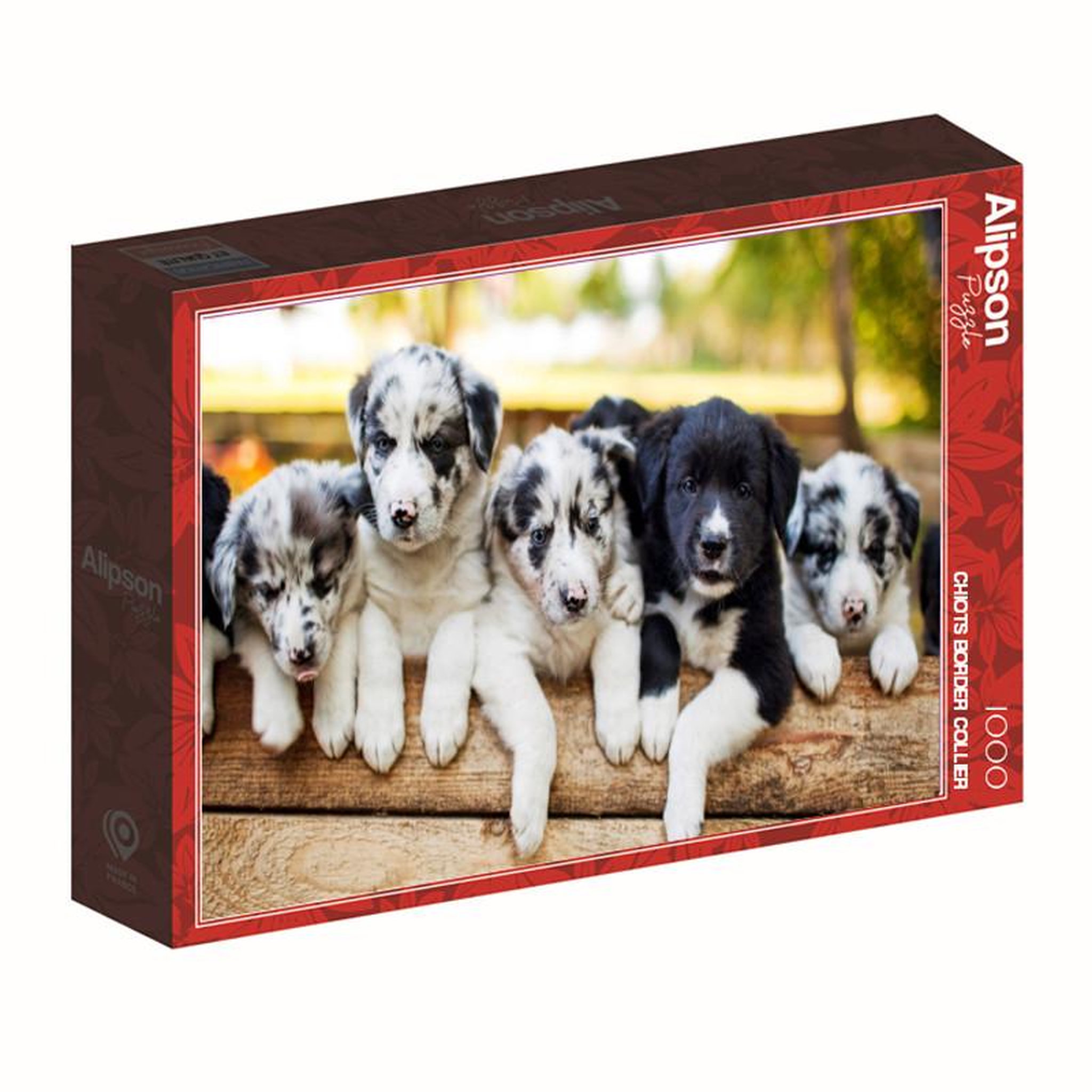 ALIZE Puzzle 1000 pièces Alizé, Chiots Border Collie, Animaux adorables, Adulte 14+ ans