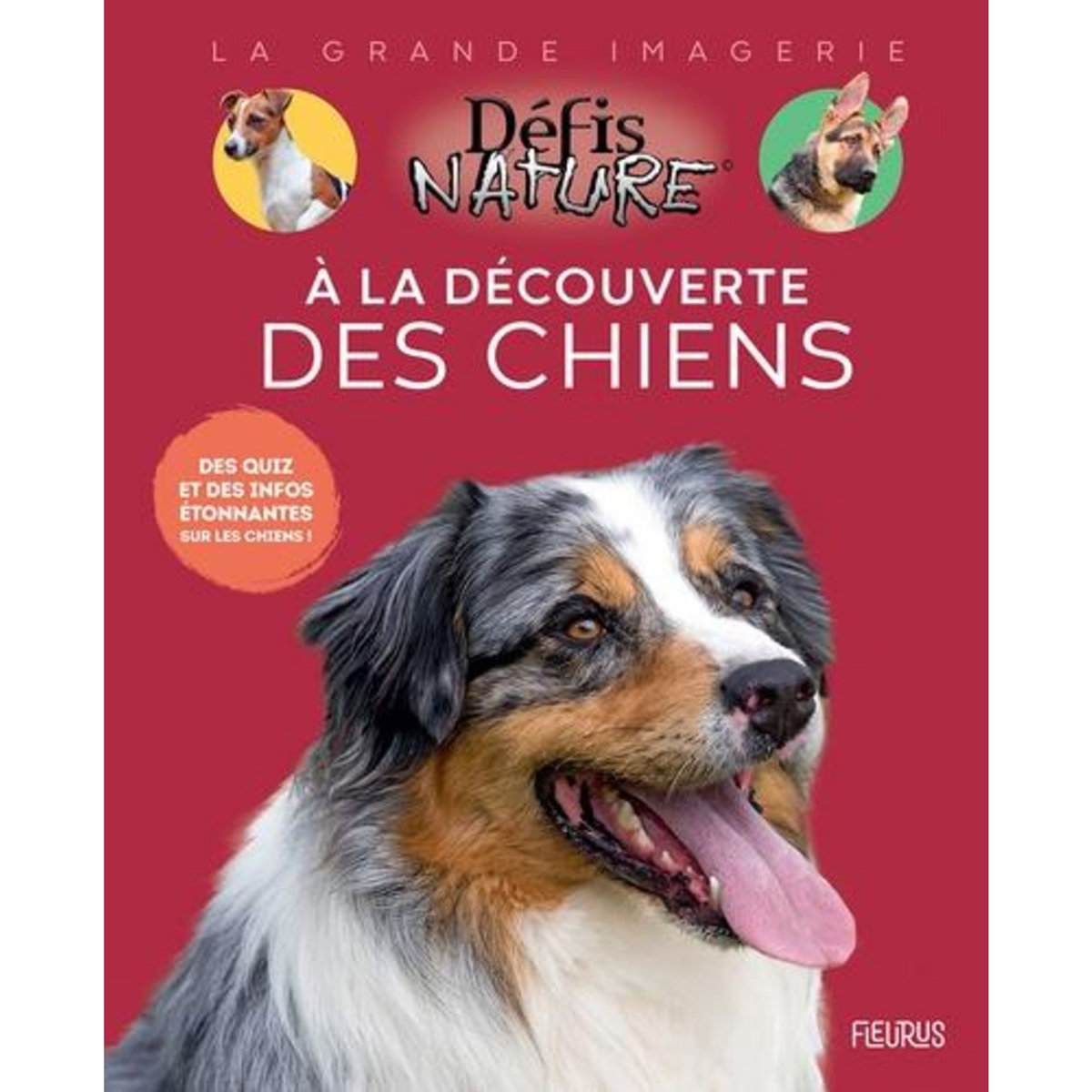 A LA DECOUVERTE DES CHIENS, Trochet-Desmaziers Marie-Alice