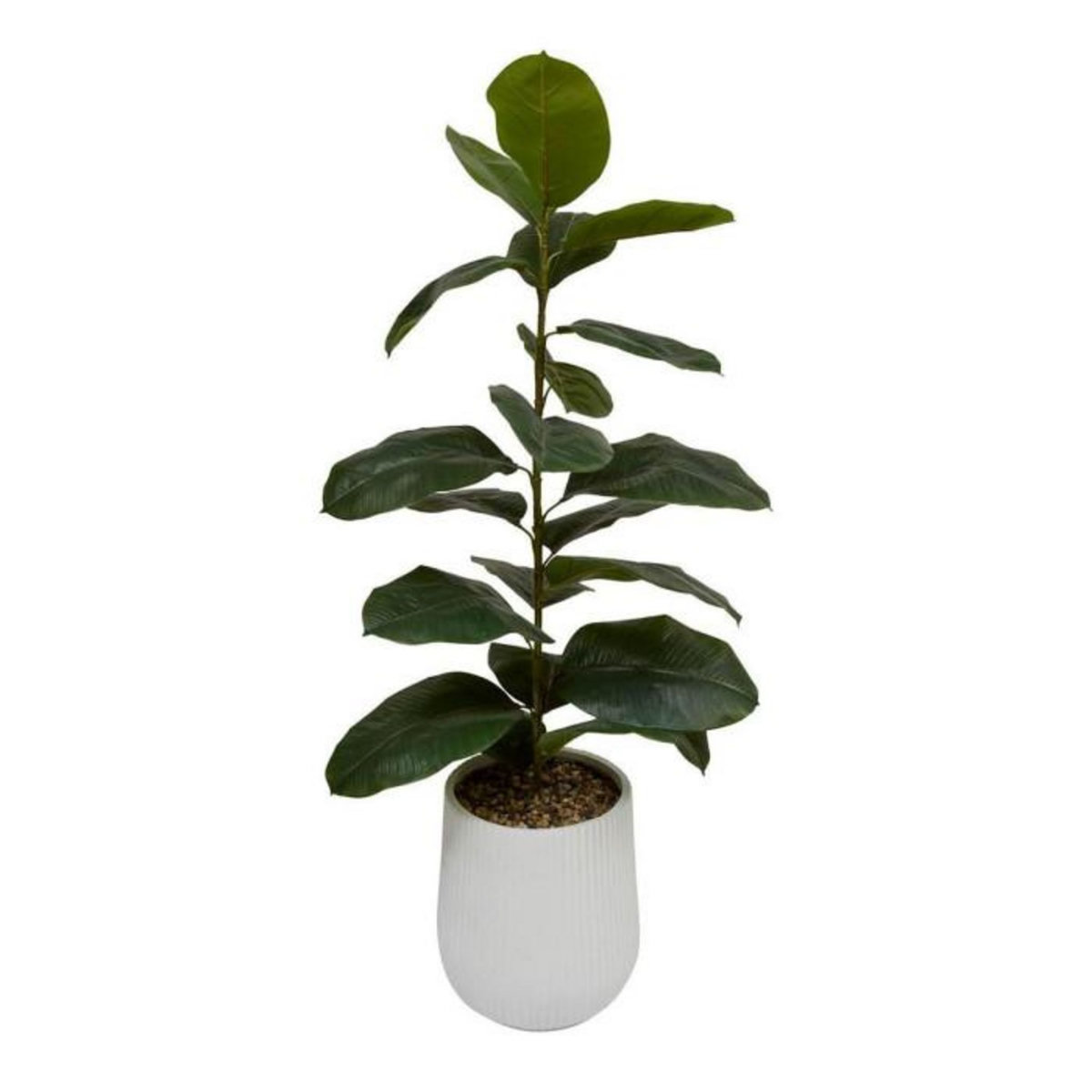 ATMOSPHERA Ficus Artificiel en Pot  Sky  145cm Vert