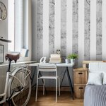Paris Prix Papier Peint  Style Gris  50x1000cm