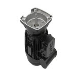 Pentair Moteur pour pompes La Sta-Rite 1,50 CV Mono - Pentair