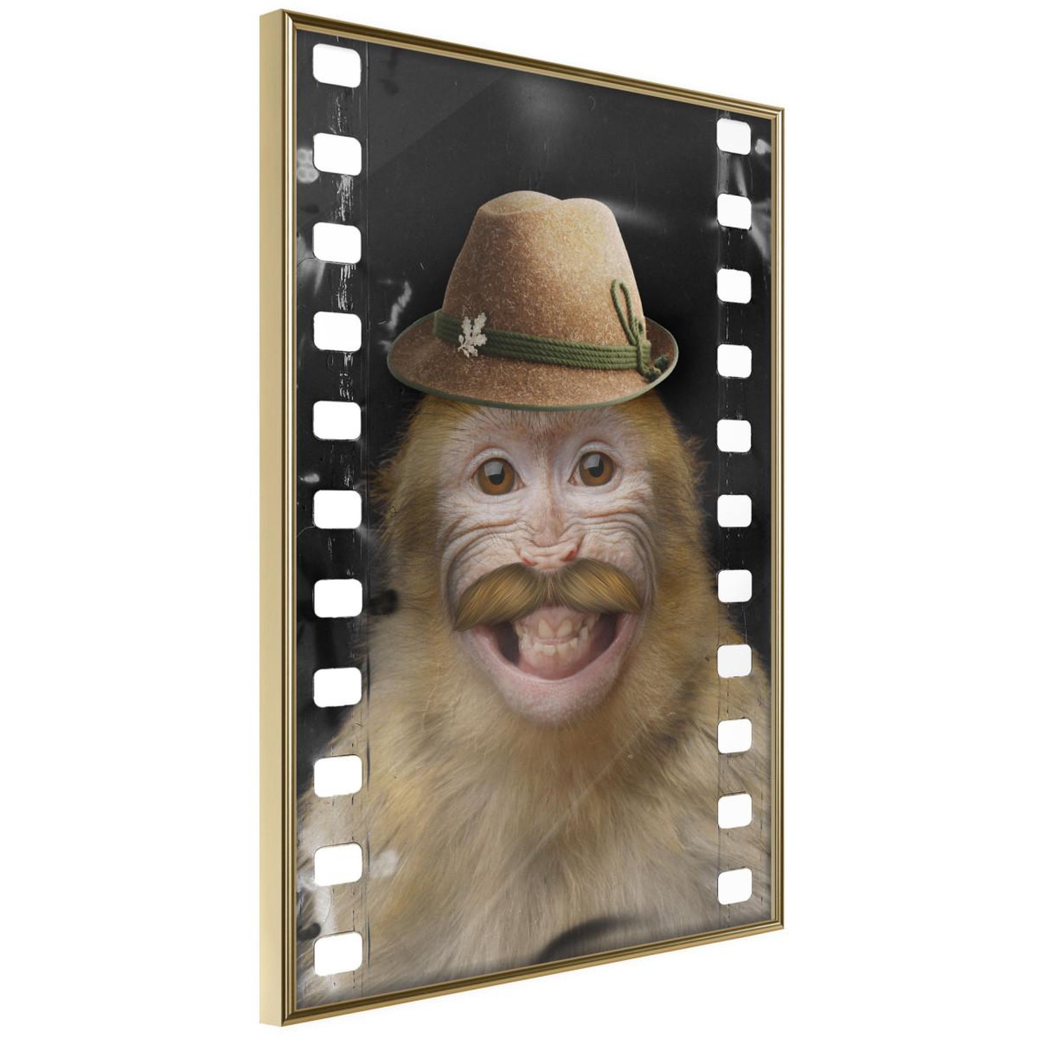 Paris Prix Affiche murale encadrée  dressed up monkey