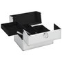 Voir la diapositive 2 : VIDAXL Mallette à maquillage 22x30x21 cm Argenté Aluminium