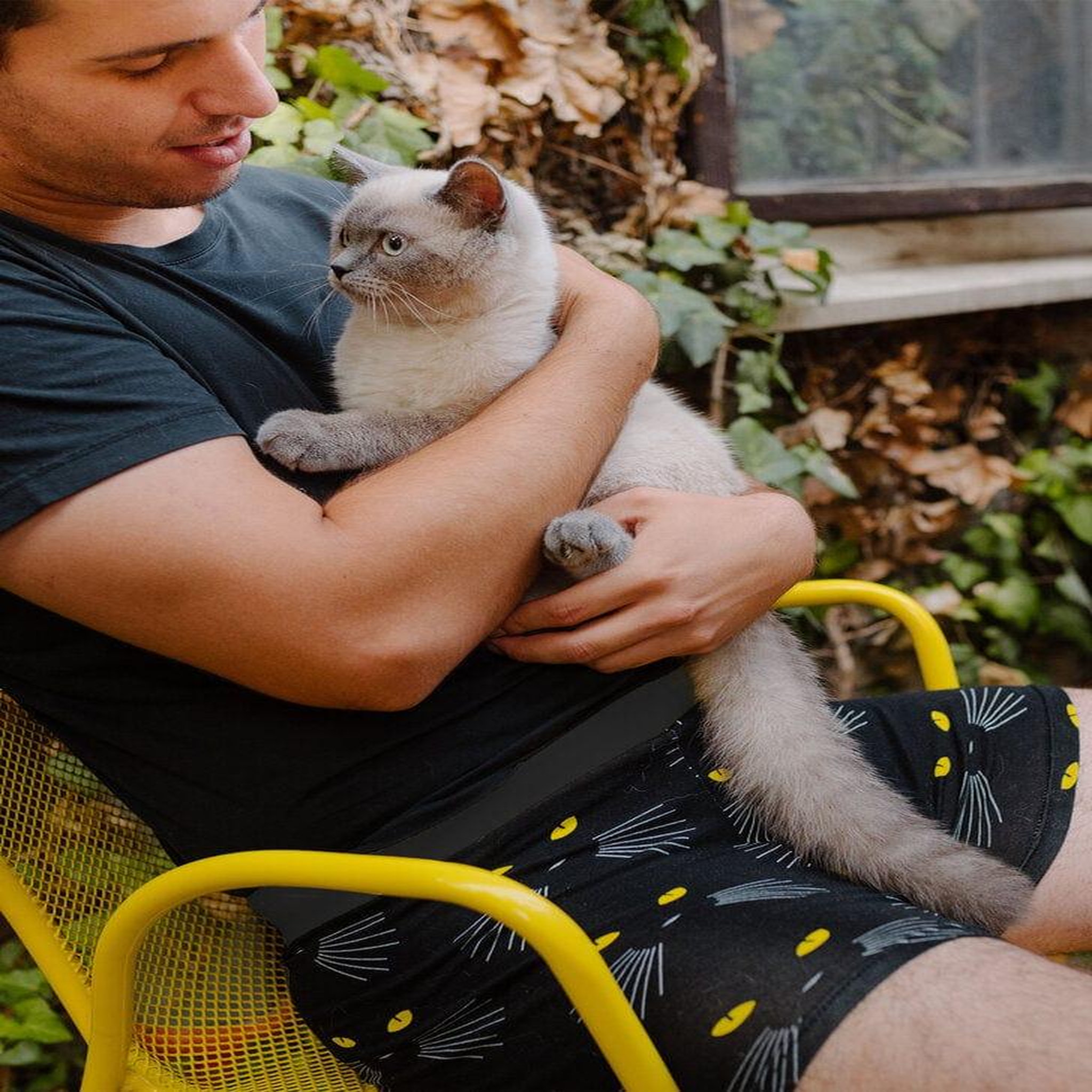 Voir la diapositive 6 : DEDOLES Boxer homme les yeux de chat