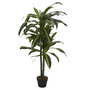 Voir la diapositive 1 : Paris Prix Plante Artificielle  Dracaena  130cm Vert