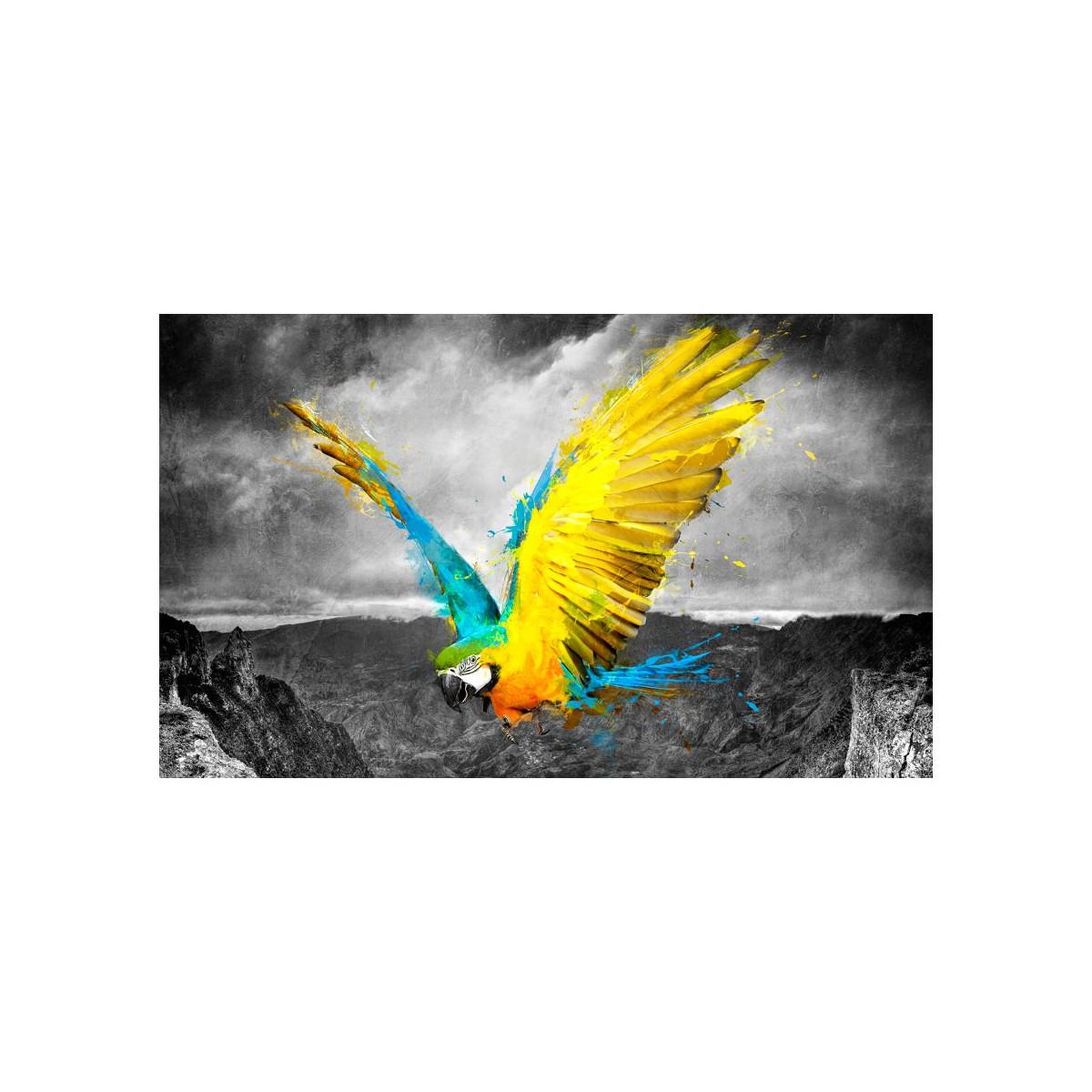 Voir la diapositive 2 : Paris Prix Papier peint  exotic parrot ii  270x450cm