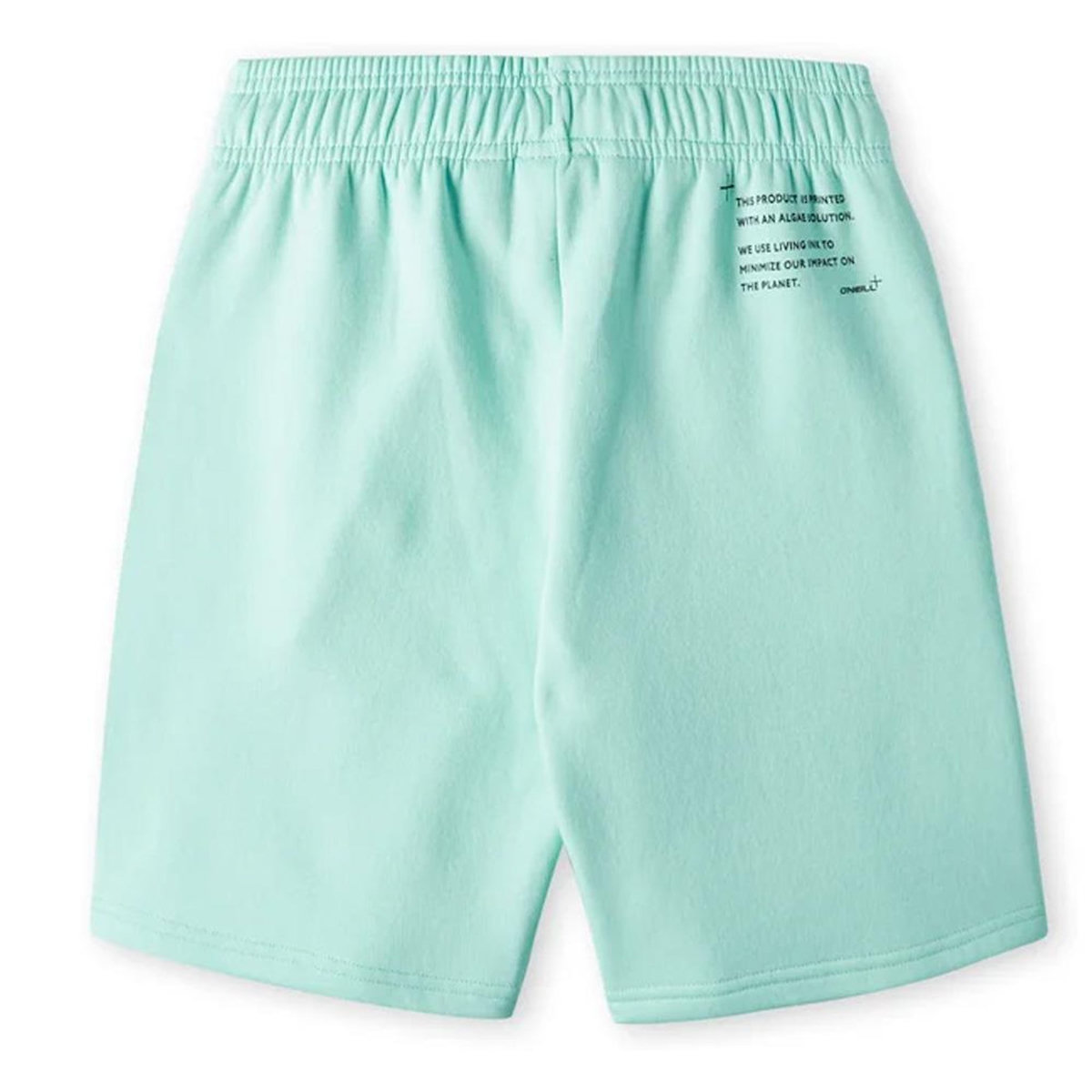 O'NEILL Short Turquoise Garçon O'Neill Future