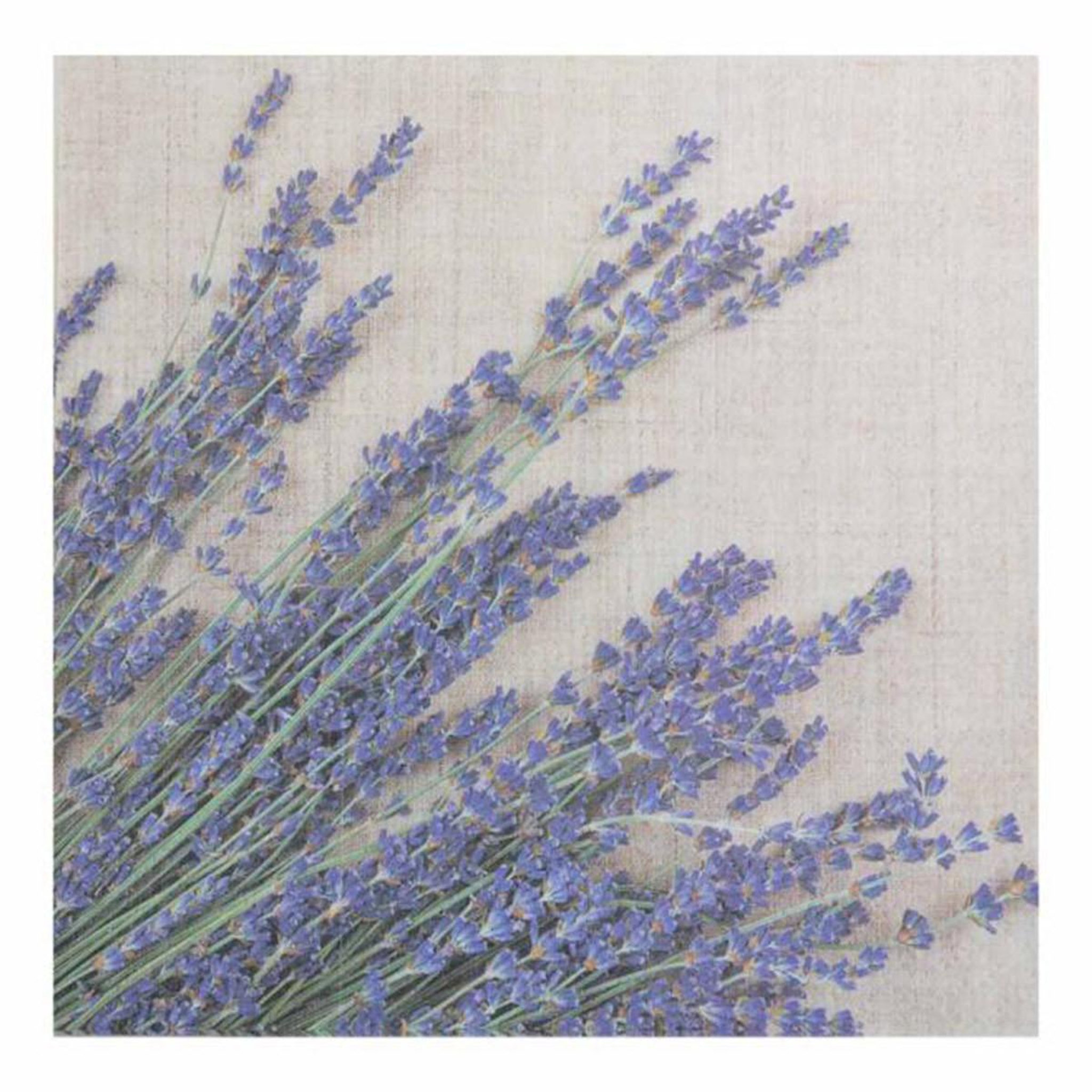 HOMEA Lot de 20 serviettes en papier  lavande  33x33cm violet