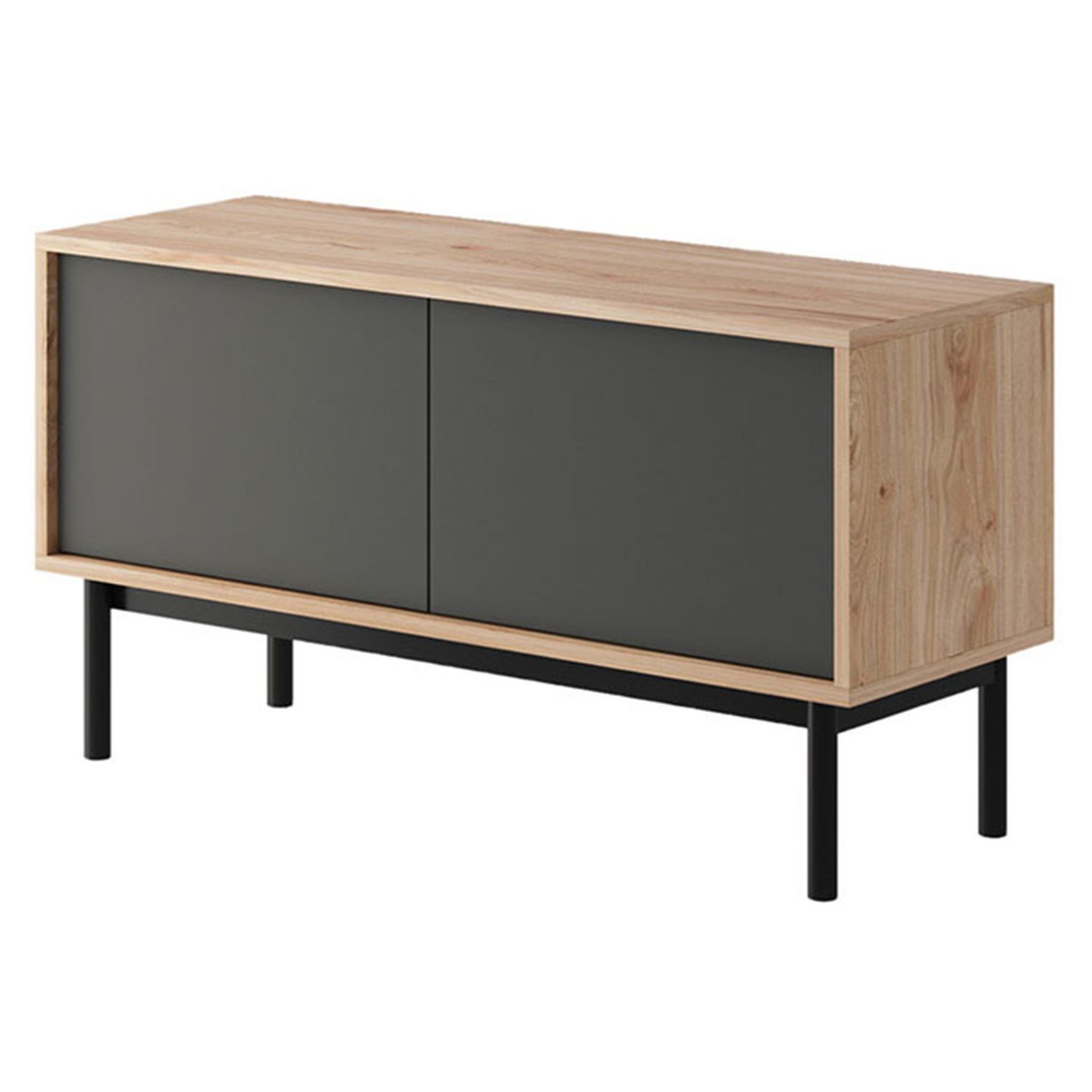 Voir la diapositive 1 : Meuble TV industriel 2 portes L104cm THEO