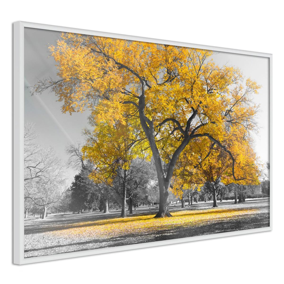 Paris Prix Affiche Murale Encadrée  Golden Tree