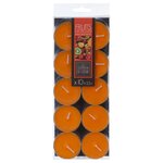 COMPTOIR DE LA BOUGIE Lot de 10 Bougies Chauffe-Plat Parfumées 3,7cm Fruits Exotiques