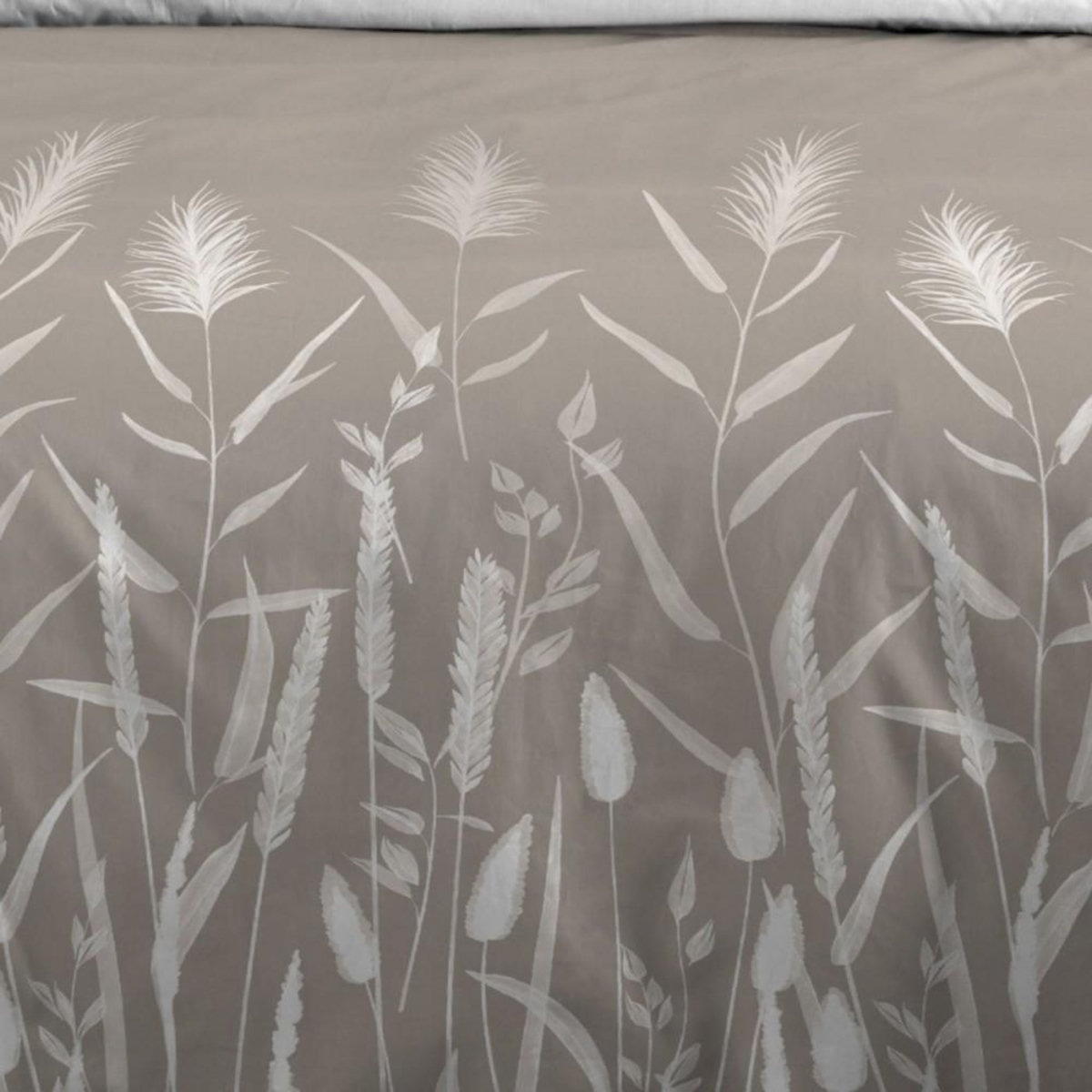 STOF Housse de couette 240x220 PAMPA + 2 taies coton 57 fils