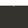 Voir la diapositive 3 : VIDAXL Auvent vertical Anthracite 100x1200 cm Tissu oxford