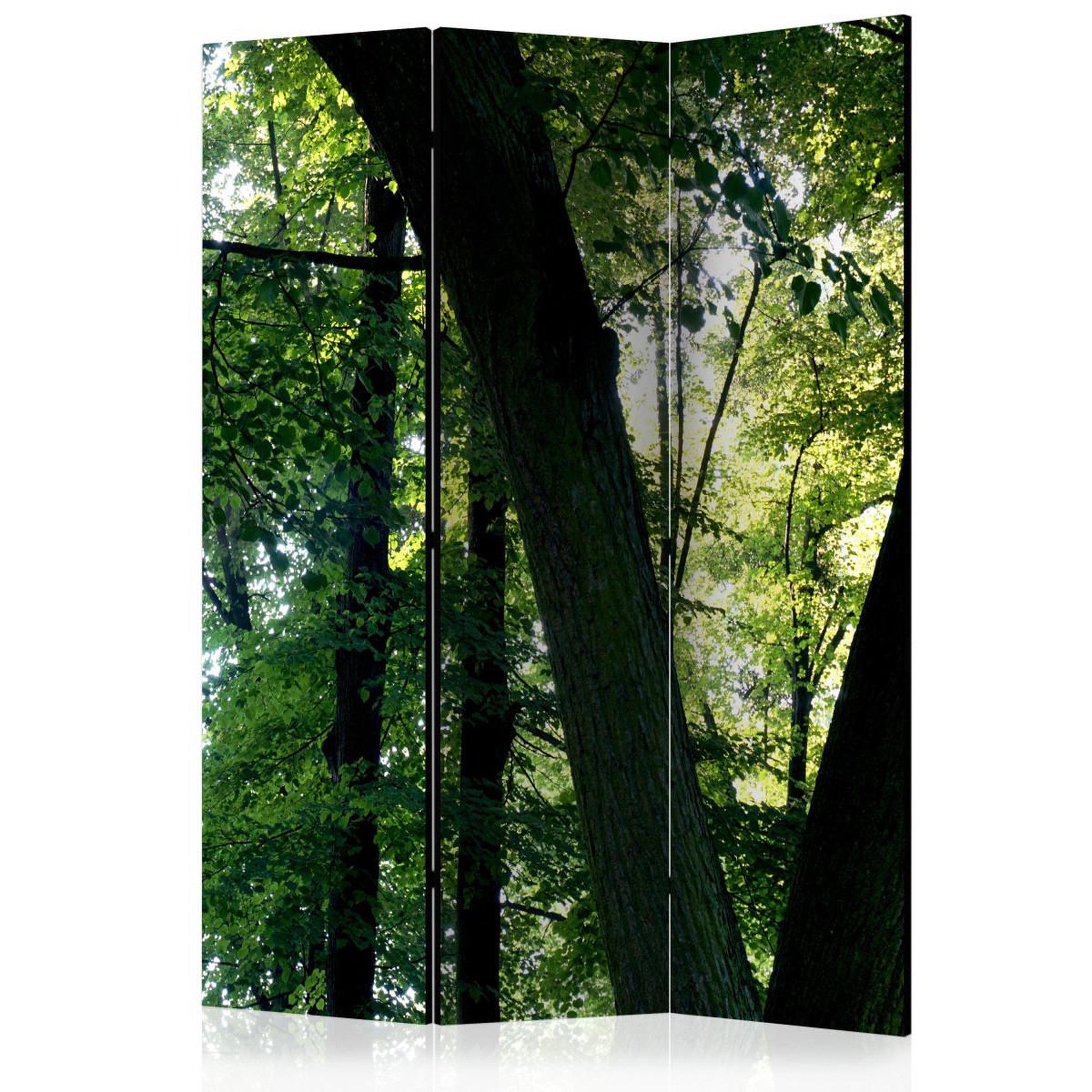Paris Prix Paravent 3 volets  spring in the park  135x172cm