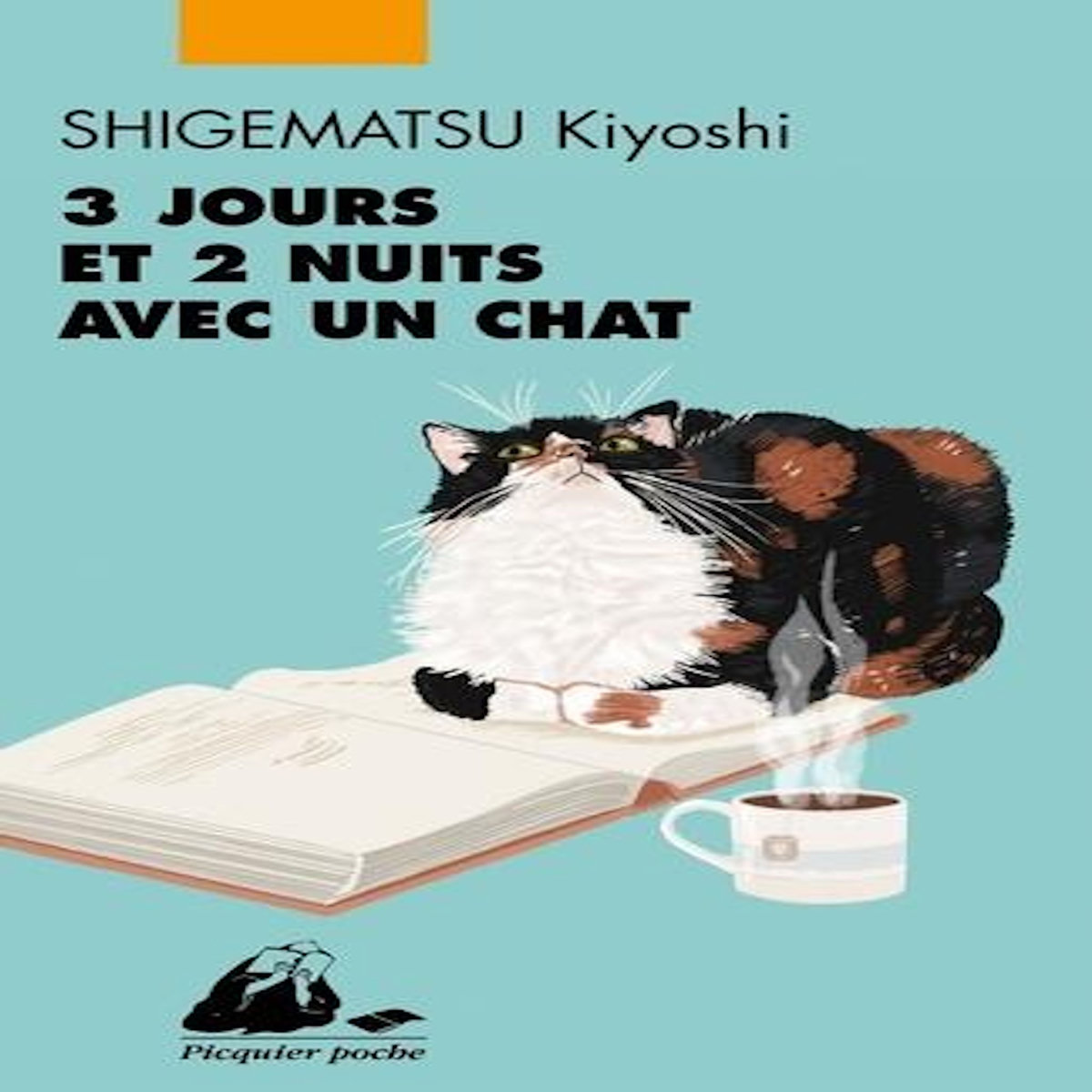 3 JOURS ET 2 NUITS AVEC UN CHAT, Shigematsu Kiyoshi