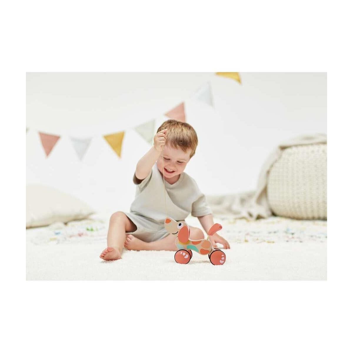 Hape Chien Puppy à Tirer - Jouet Éducatif en Édition Limitée pour Enfants