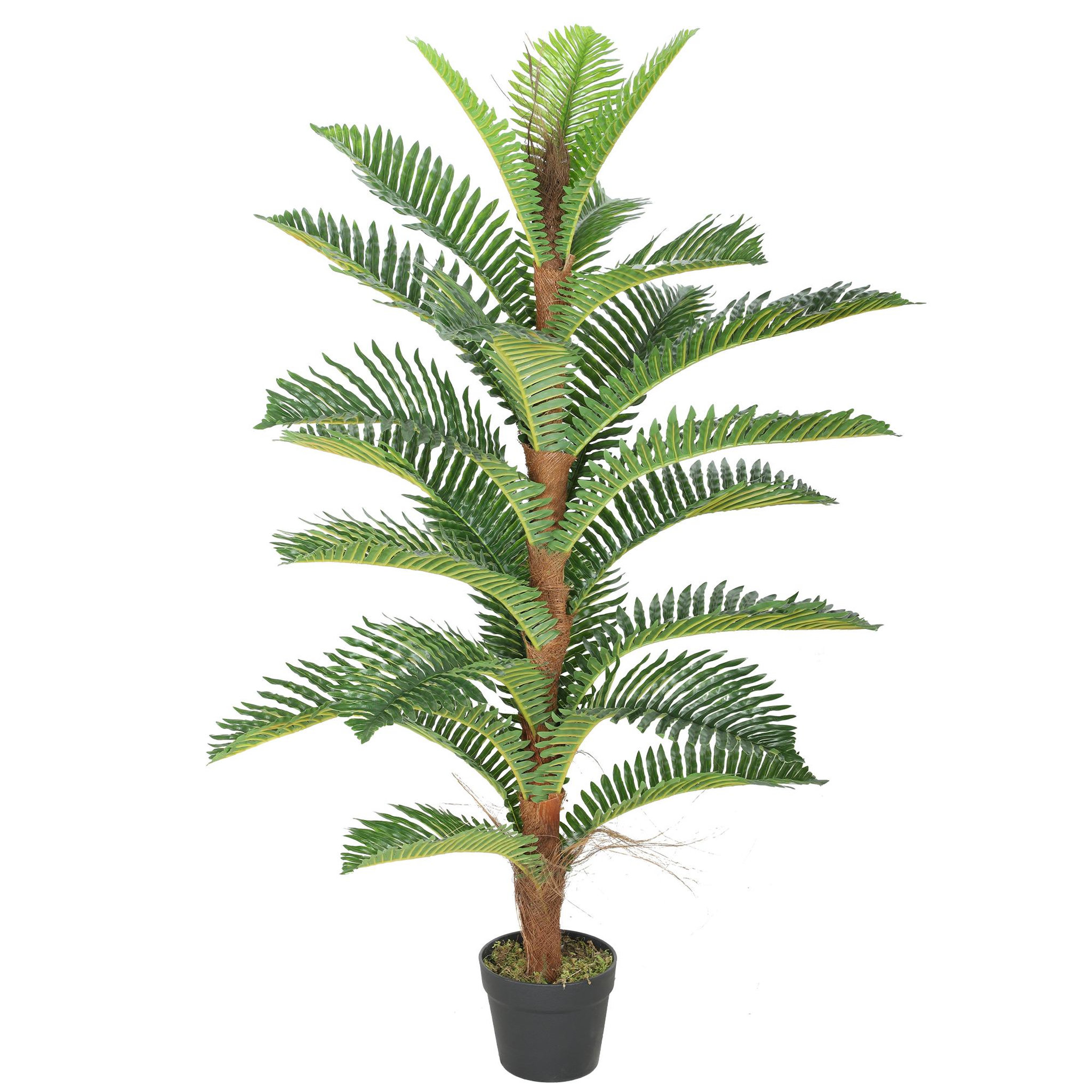 Voir la diapositive 5 : HOMCOM Palmier artificiel H.1,2 m arbre artificiel tronc branches lichen feuilles grand réalisme pot inclus
