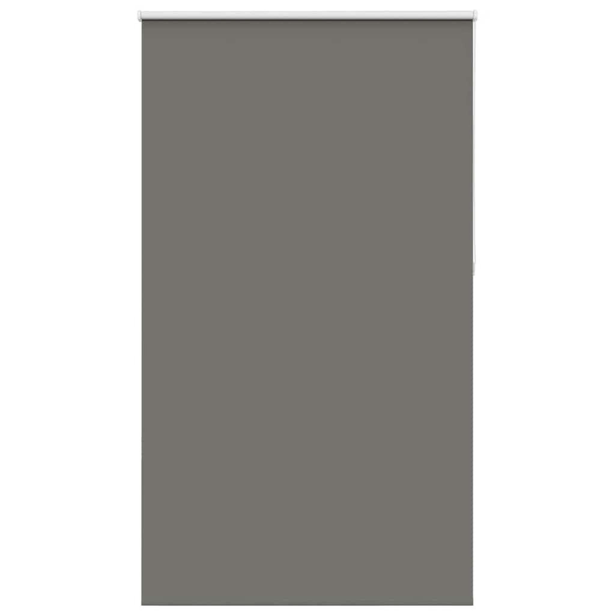 Voir la diapositive 2 : VIDAXL Store enrouleur occultant largeur du tissu 121,6 cm polyester