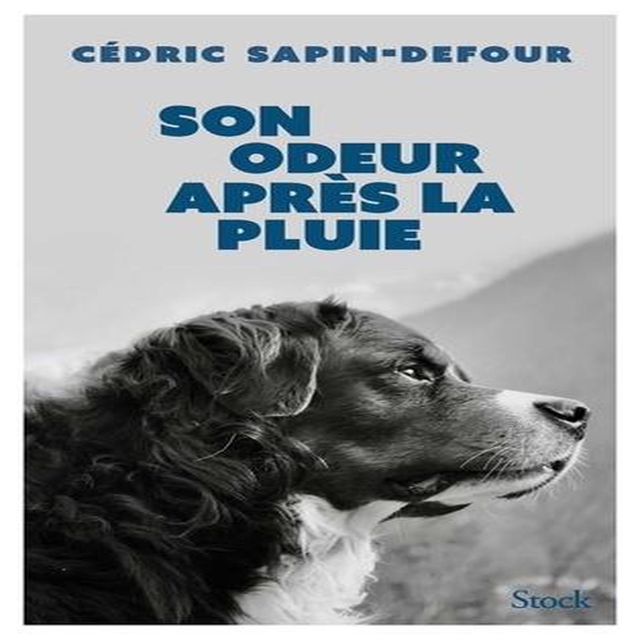 SON ODEUR APRES LA PLUIE, Sapin-Defour Cédric