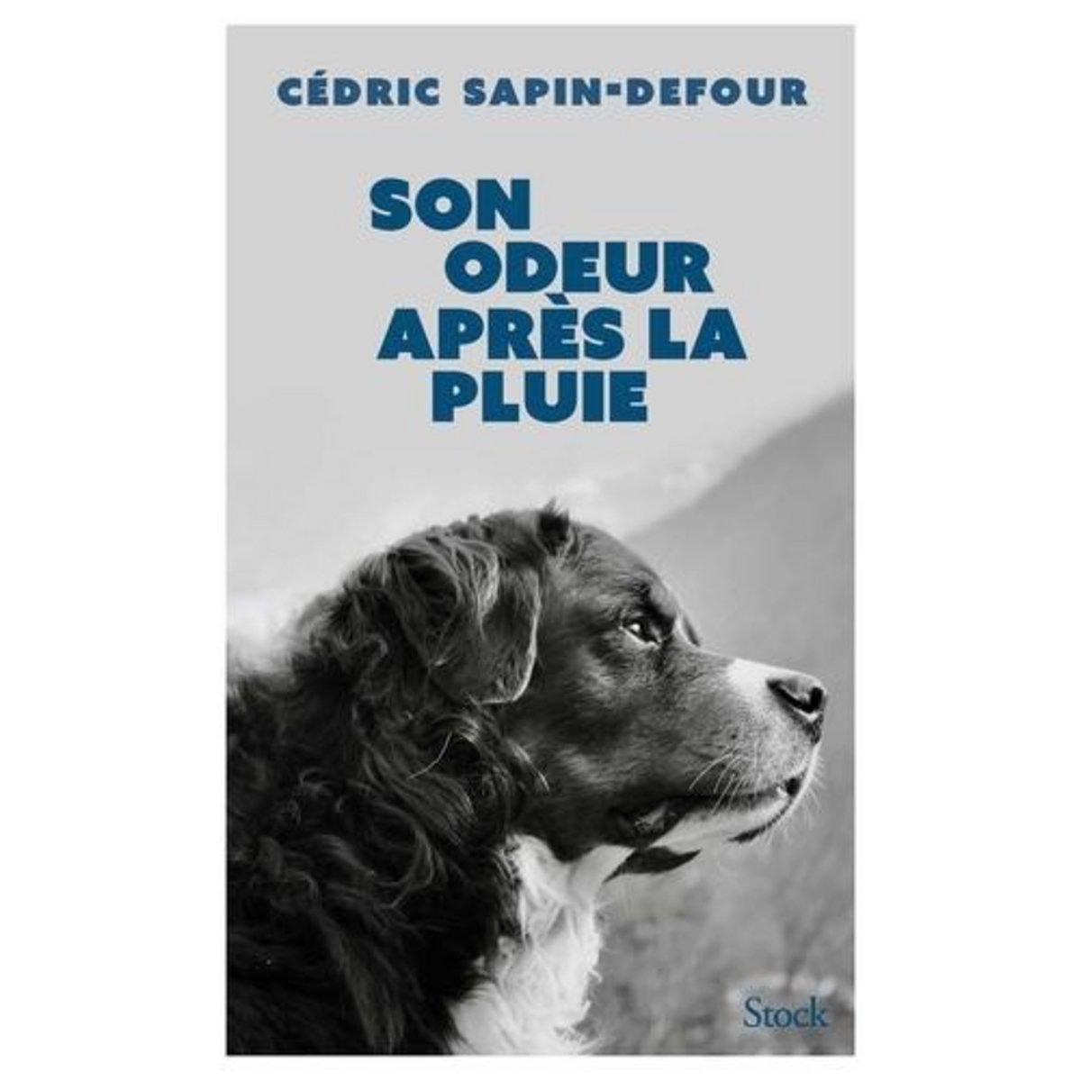 SON ODEUR APRES LA PLUIE, Sapin-Defour Cédric