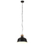 Voir la diapositive 3 : VIDAXL Lampe suspendue industrielle 32 cm Noir E27