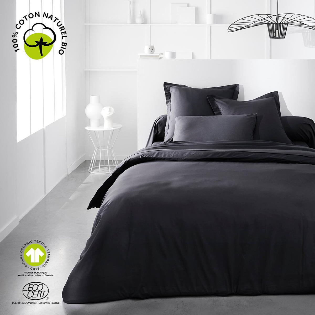 TODAY Taie d'oreiller unie en Coton 57 fils ORGANIC 