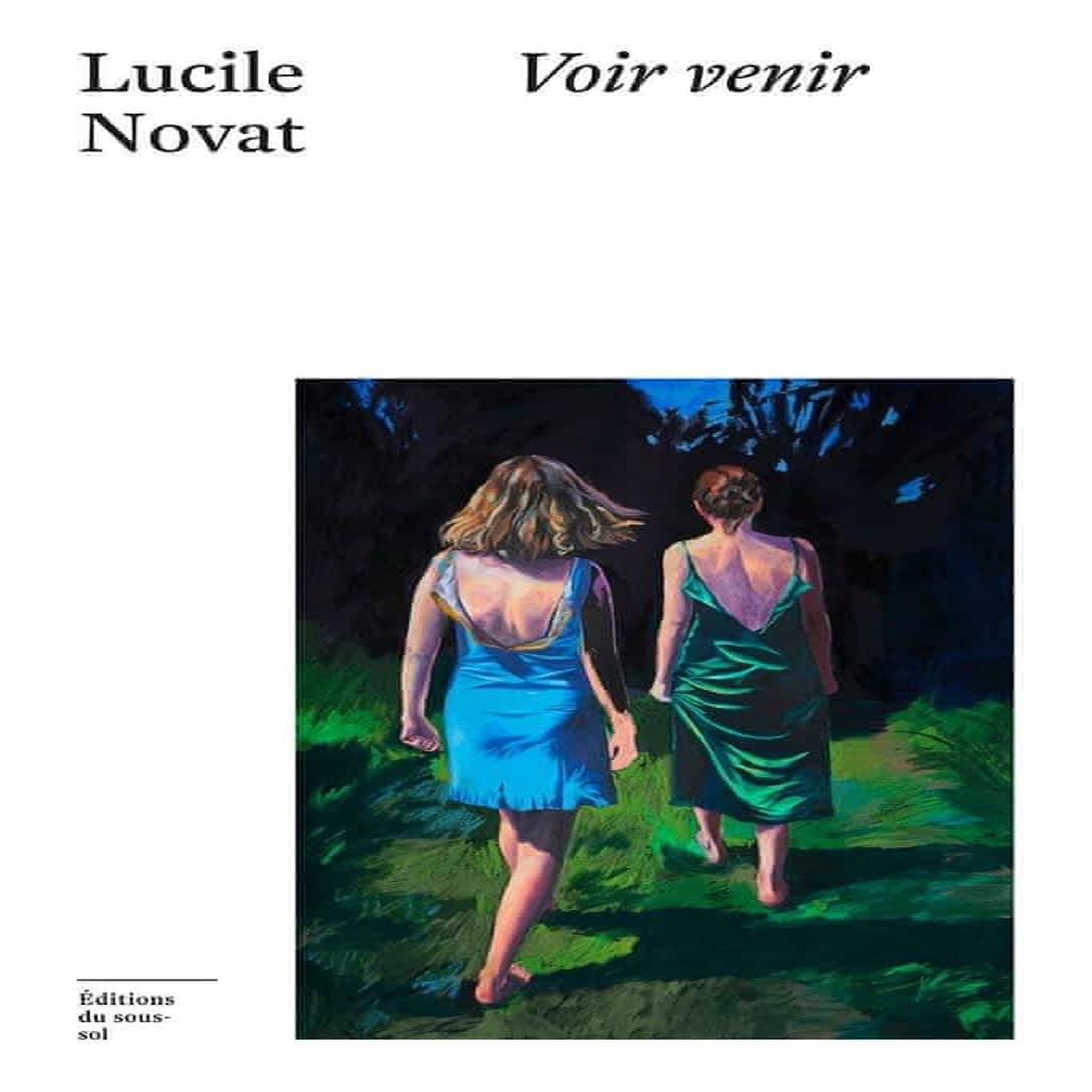 VOIR VENIR, Novat Lucile
