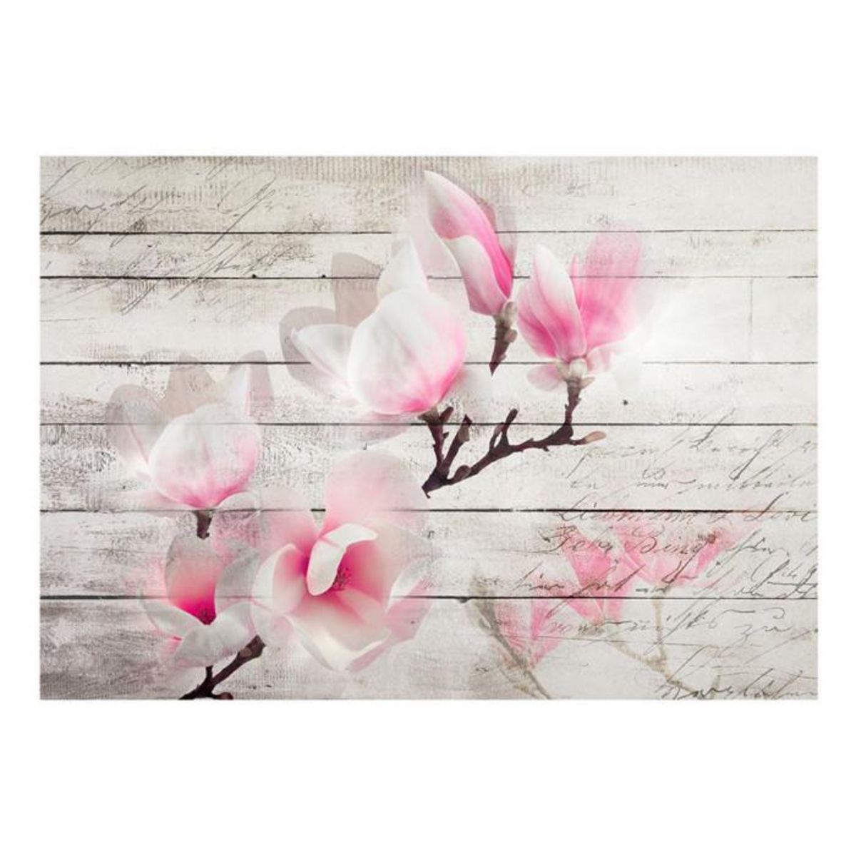 Paris Prix Papier Peint  Gentleness of the Magnolia