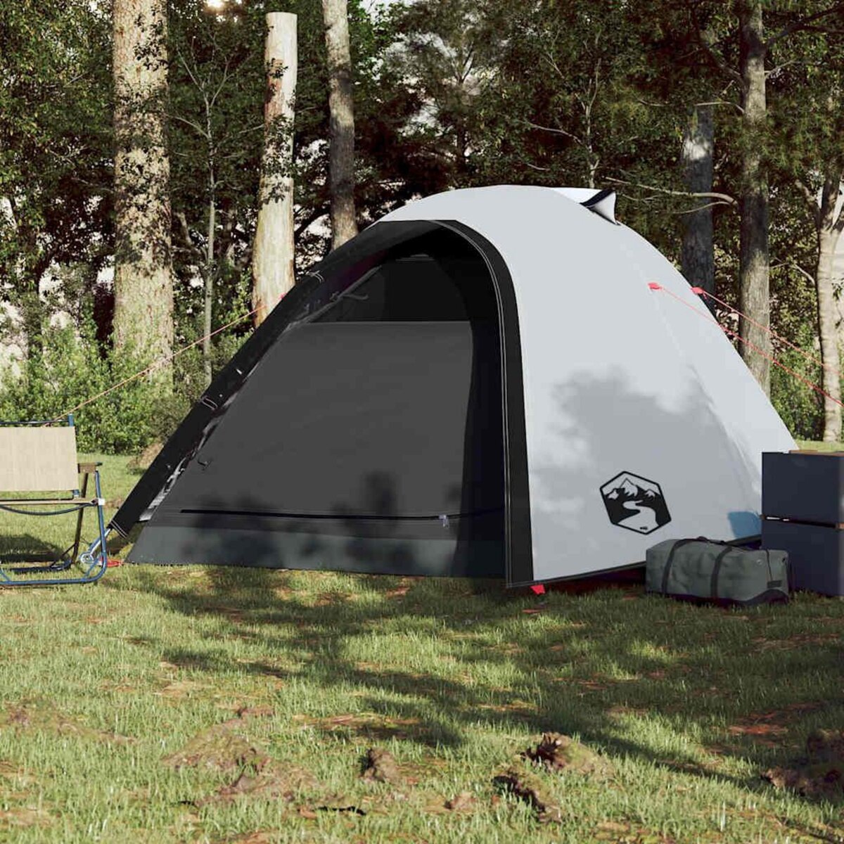 VIDAXL Tente de camping a dome 4 personnes tissu occultant impermeable