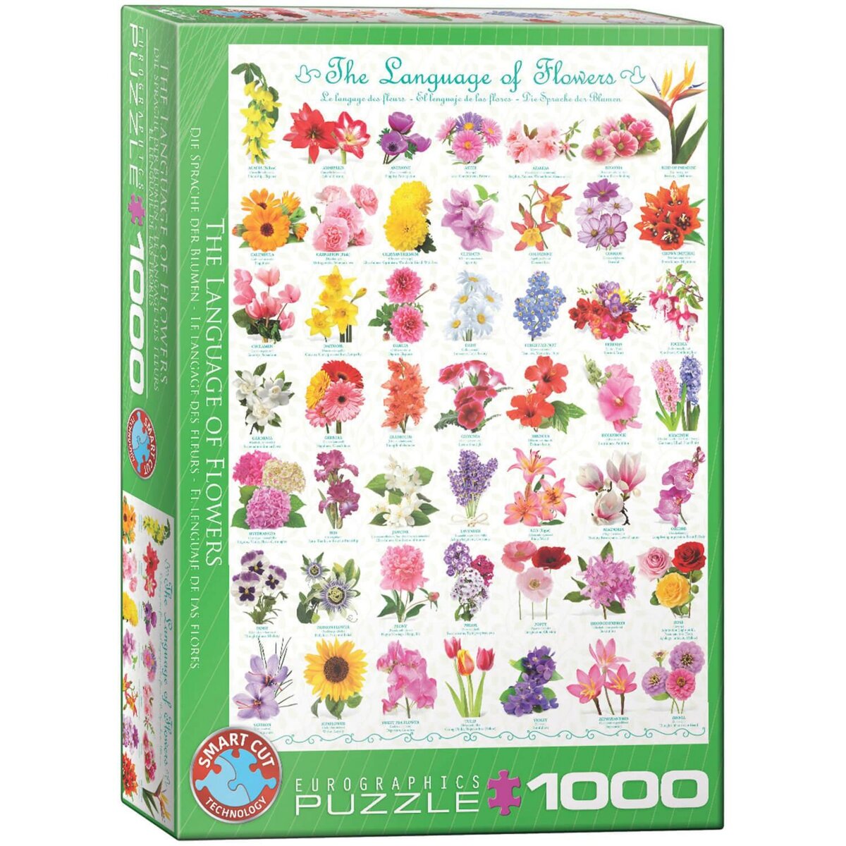 Eurographics Puzzle 1000 pièces :  Le langage des fleurs