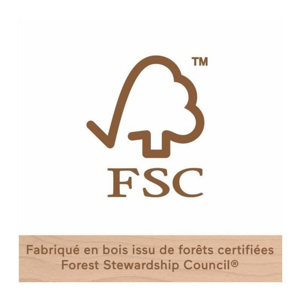 Fischer Puzzle Fischer Puzzle en bois L'Espace