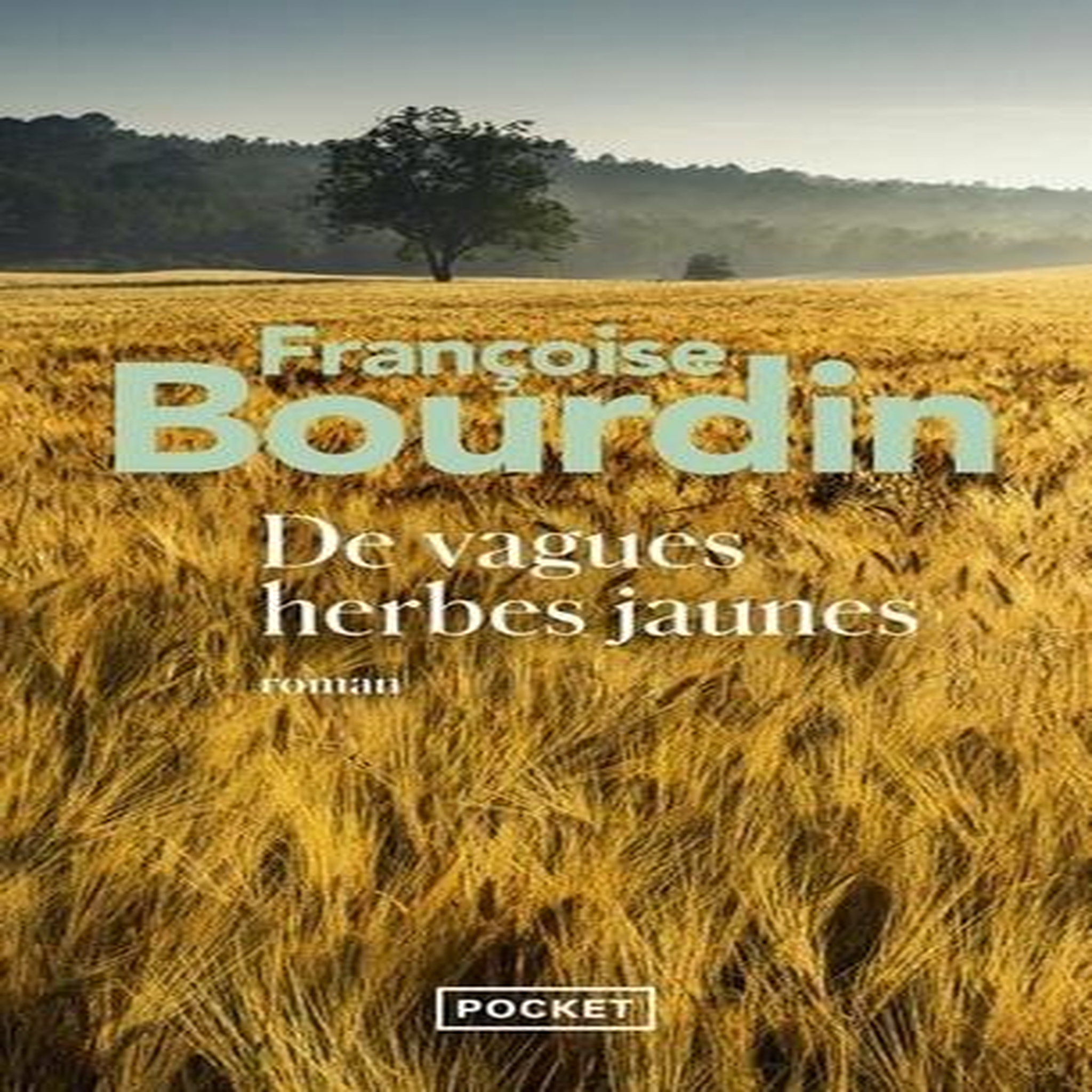 DE VAGUES HERBES JAUNES, Bourdin Françoise