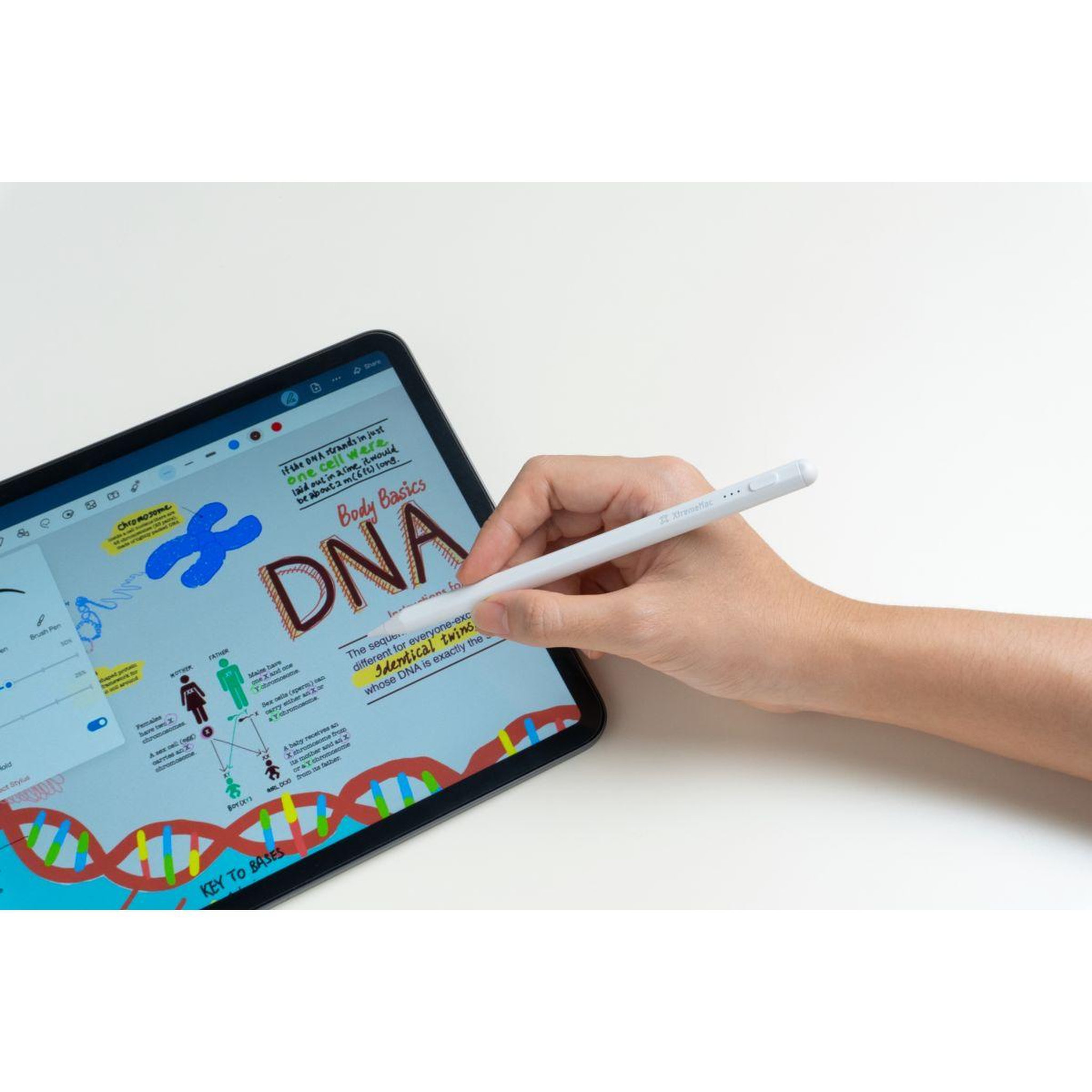 Voir la diapositive 4 : XTREMEMAC Stylet pour ipad avec recharge usb-c