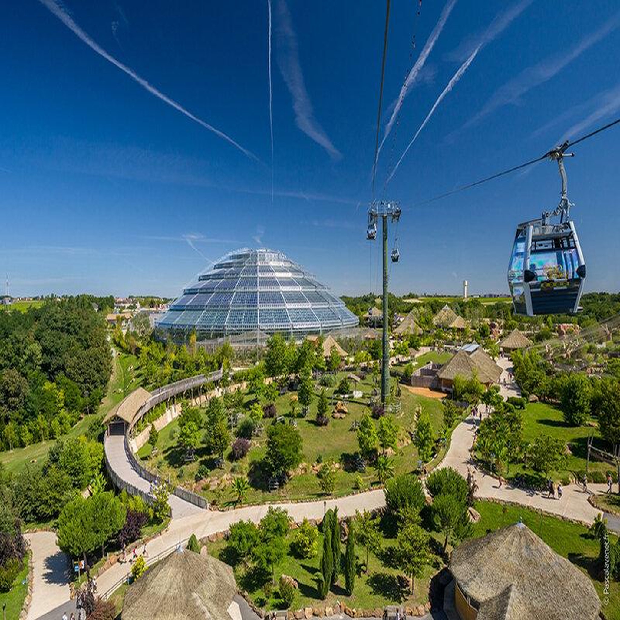 Voir la diapositive 4 : Smartbox Zooparc de beauval : 2 entrées adulte (2 journées) 2026 et 1 nuit en hôtel à proximité - coffret cadeau multi-thèmes