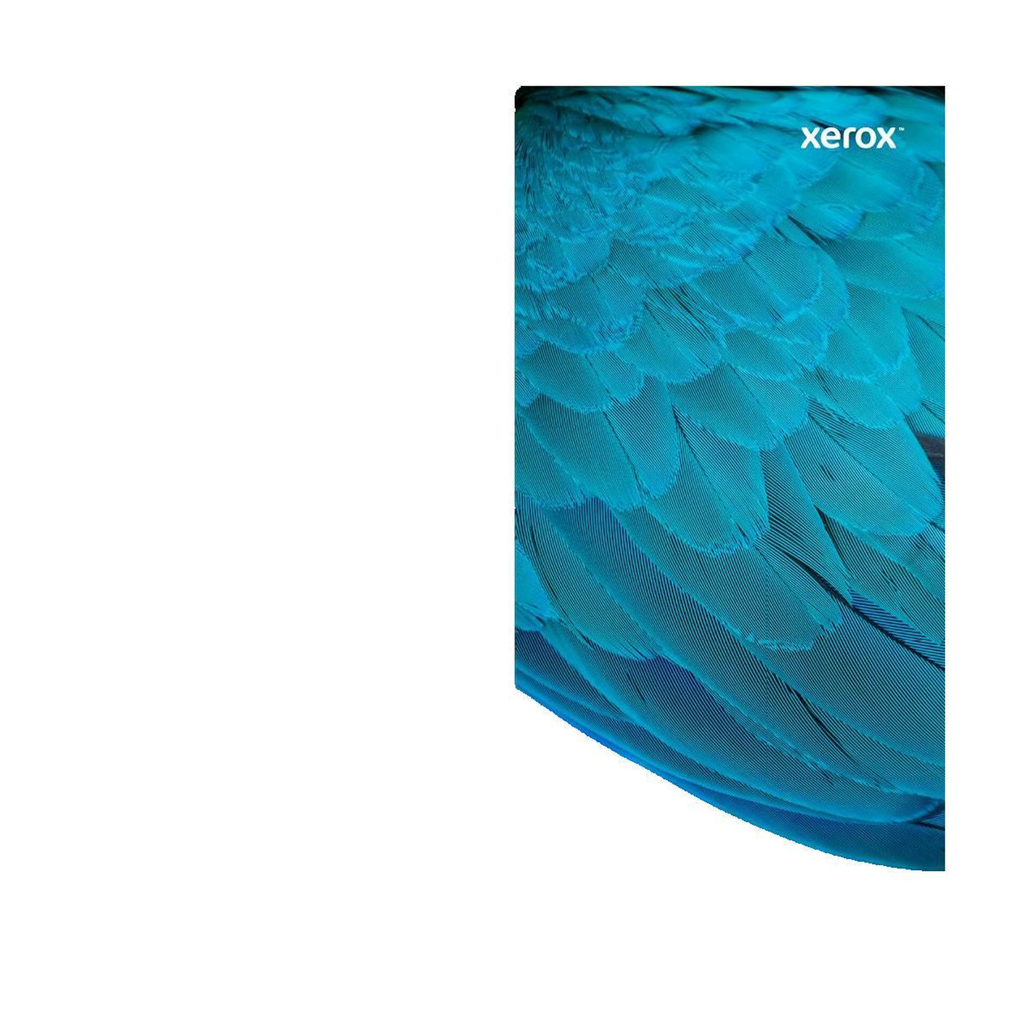 Voir la diapositive 3 : Xerox Cartouche Xerox 0095205864533 Noir 1500 pages