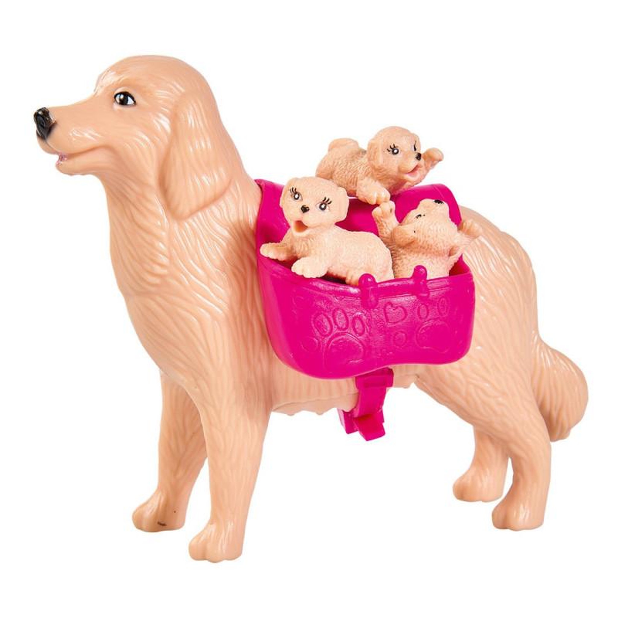 Voir la diapositive 4 : EVI LOVE Evi Love Dog Sitter