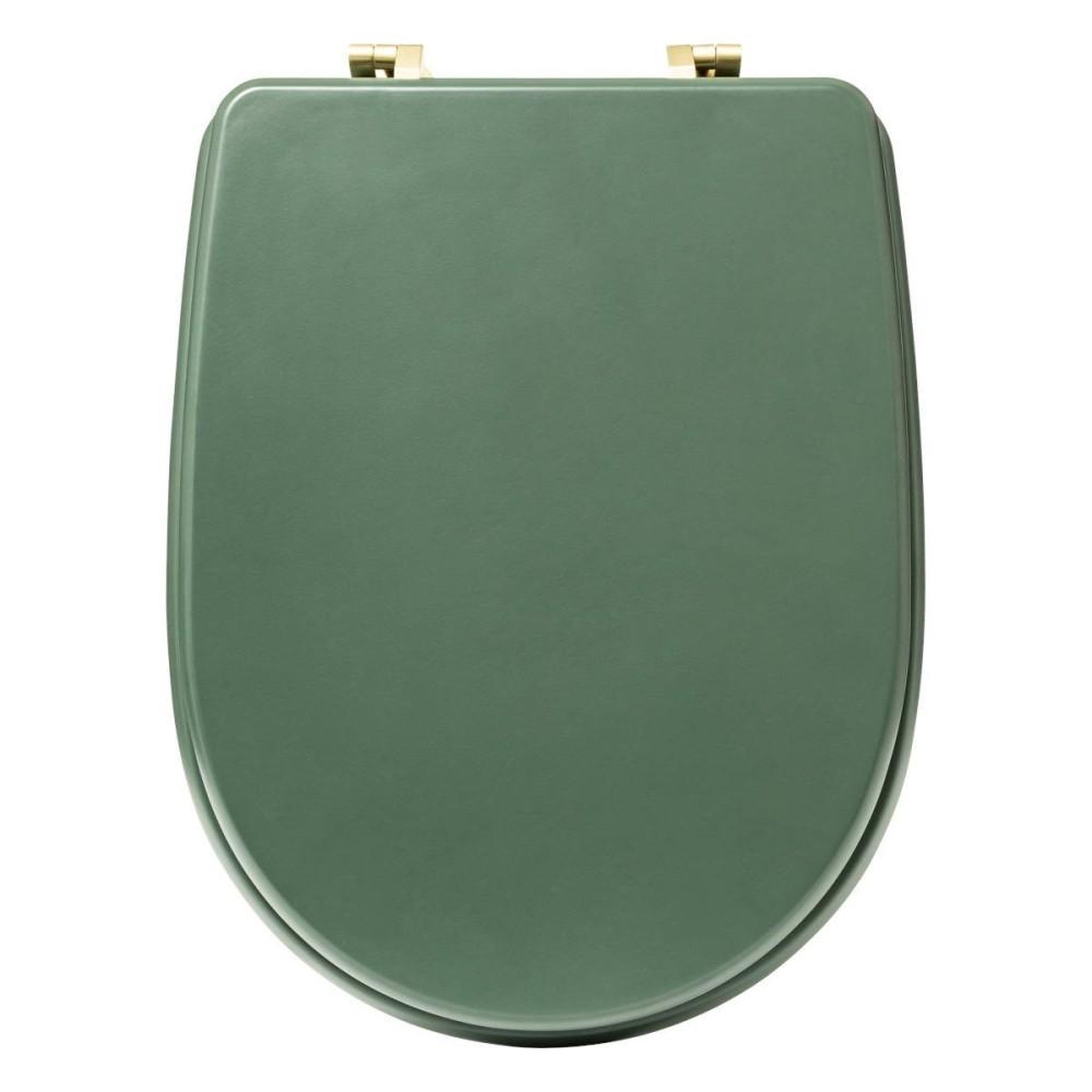 Voir la diapositive 3 : ATMOSPHERA Abattant WC coloris Vert