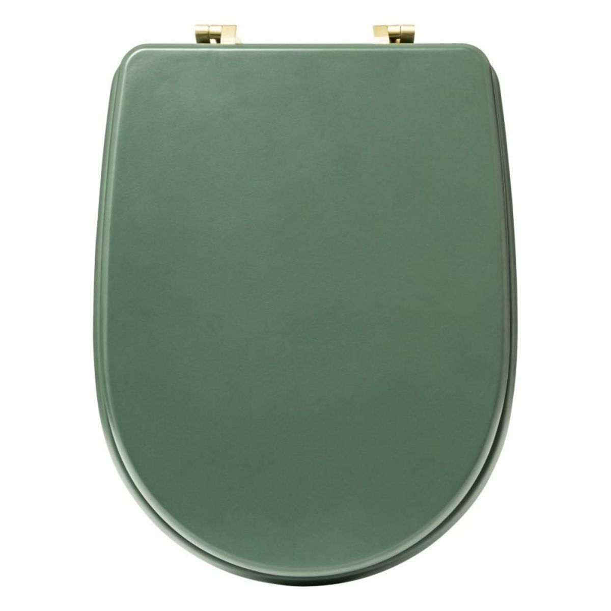 ATMOSPHERA Abattant WC coloris Vert